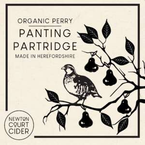 Panting partridge ncc