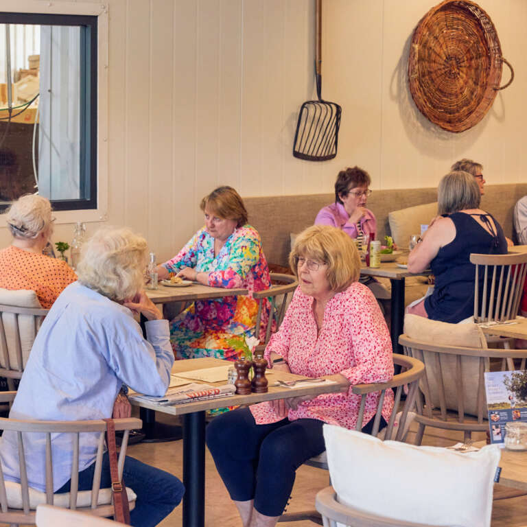 Catching up at lunchtime in the cafe at newton court