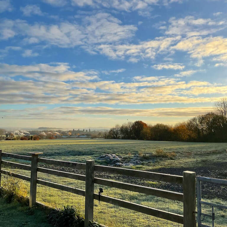 Frosty field