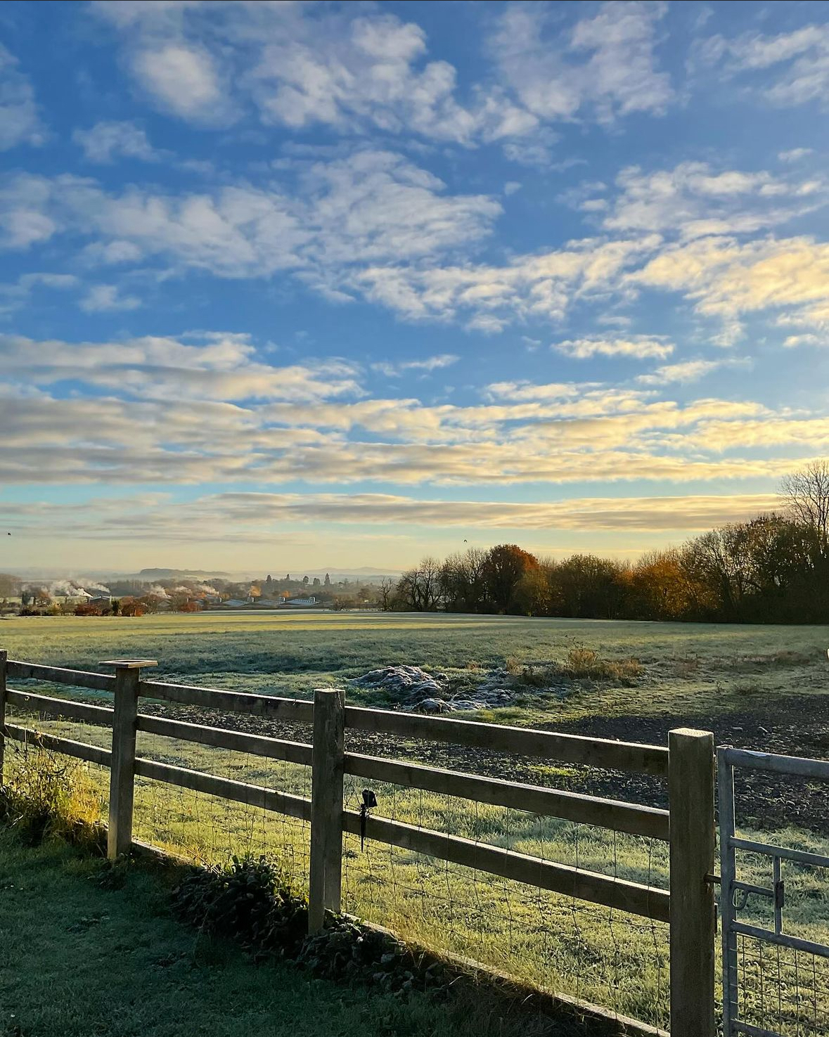 Frosty field